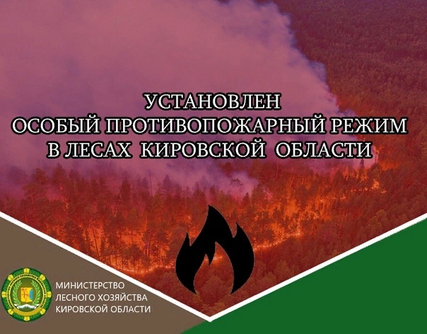 В лесах Кировской области установлен особый противопожарный режим.